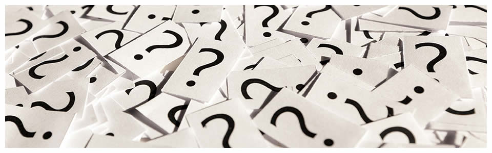 Franschhoek Half Day / Full Day Mystery Wine Tour