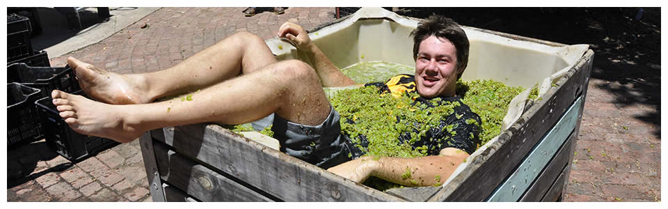 Franschhoek Private Tours